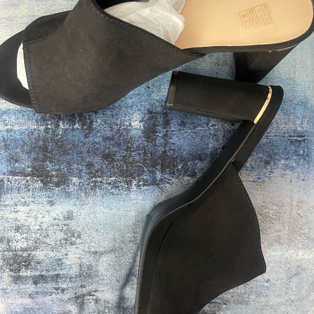 Dolce Vita Black Mules with Chunky Heel